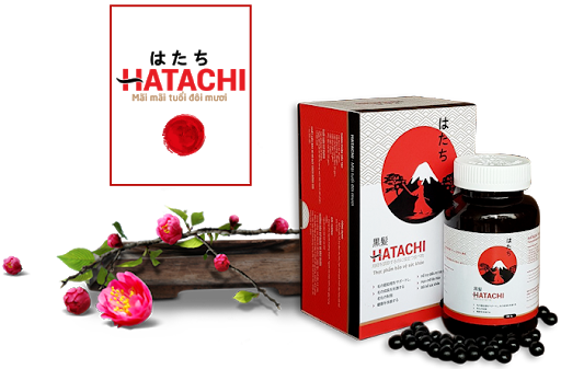 hatachi 